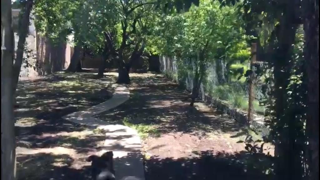 CASA DE DOS DORMITORIOS A LA VENTA